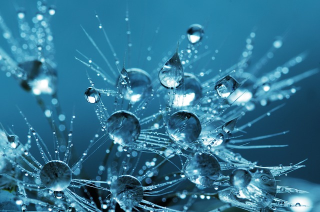 water, drops, 4k wallpaper 1920x1080